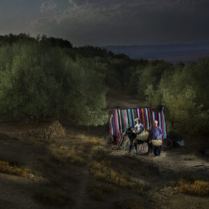 Nicolas Henry, Le transport des olives, 160x120cm, 2024